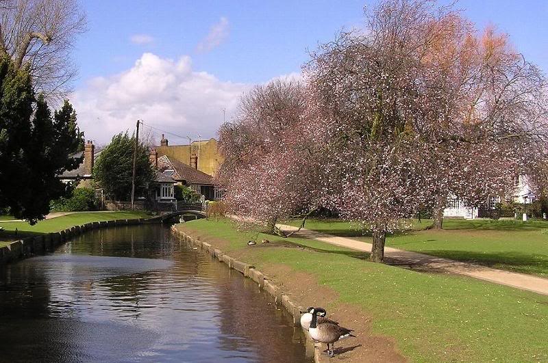 Spring Arriving in Enfield