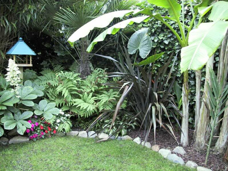 Back border - June 2002