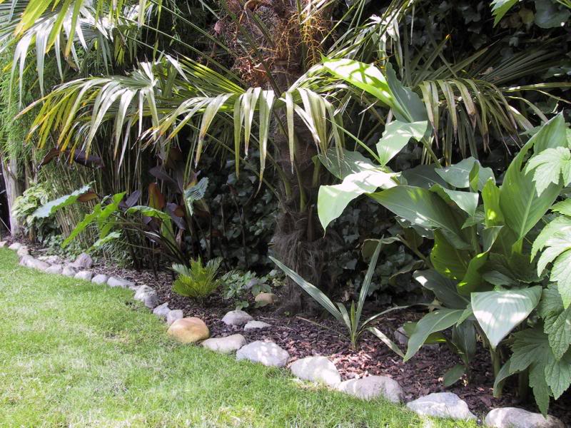 Sunny border - June 2002