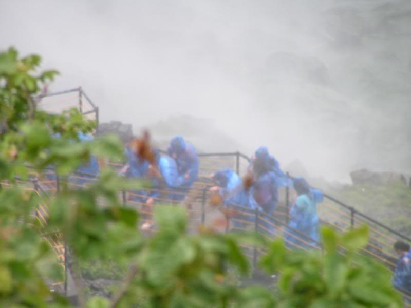 Tourists next to Niagara