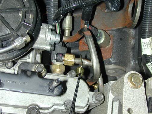 Bungee to the rescue