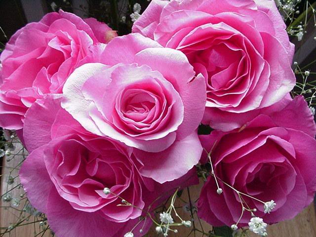 Sewdoll.com Bouquet 1