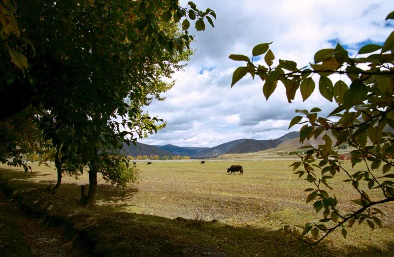 �s���� Xinduqiao