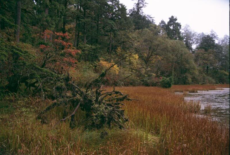 ������ - �����l Hailuogou