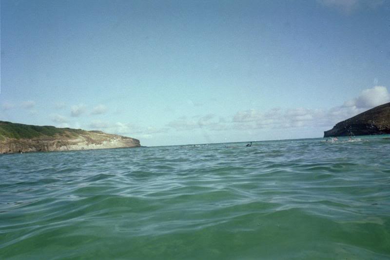 A view from the surface