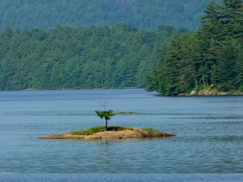 Lonely on the Island