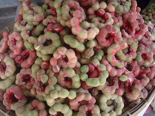 Camachile (Manila Tamarind)