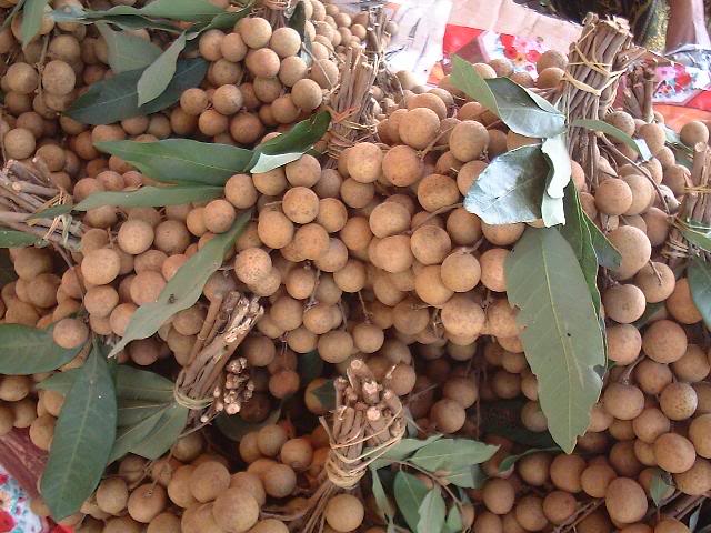 Longan Fruits