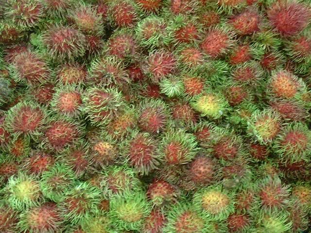 Rambutans
