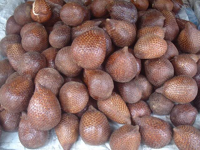 Snake Fruits