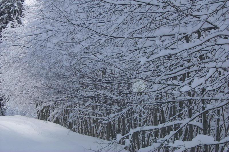 Ski trails, Kitzbuhel