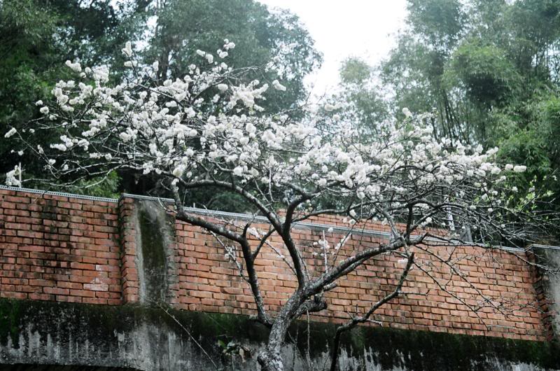 08.�������P���j ��