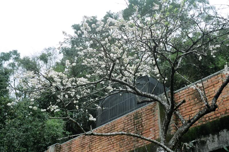 10.�������P���j ��