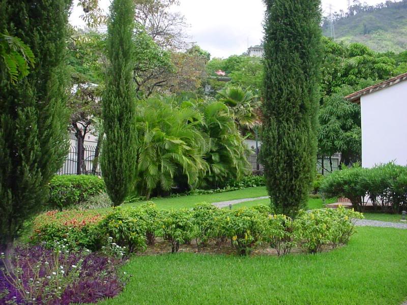 jardin lateral - ��Jorge Karpati