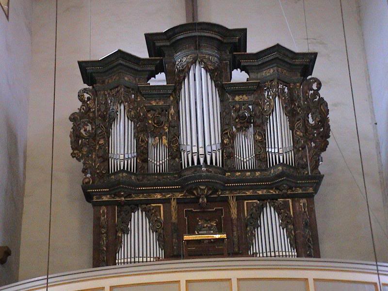 Erfurt Organ