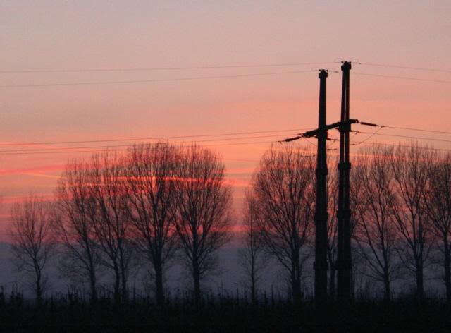 Poles love at sunset