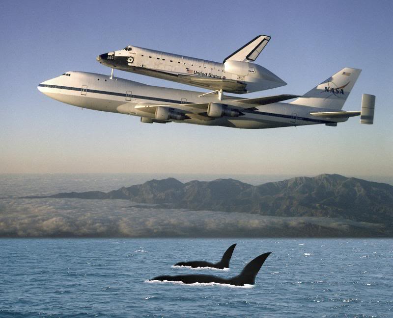 Space shuttle on B747 flies over whales in the ocean