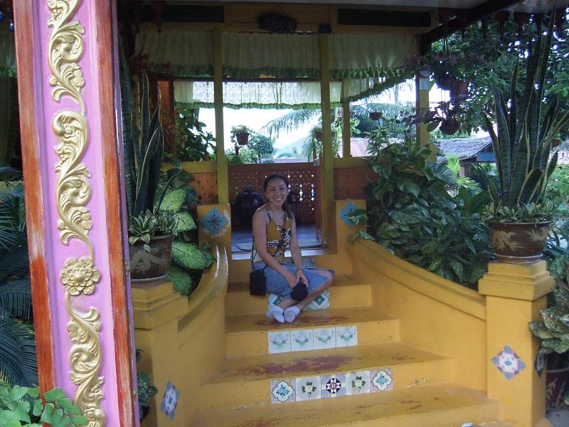 ��������������� ���������-����