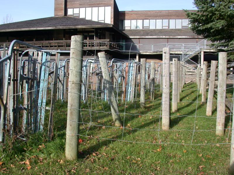 Chicopee Ski Club - Kitchener, Ontario (C995)