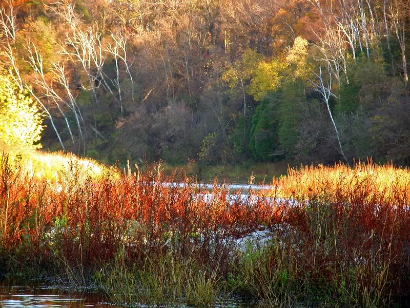 Sunny fall day at the Grand River near Freeport Bridges...
