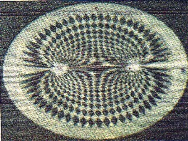 Crop Circle - Avebury Trusloe England