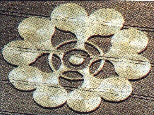 Crop Circle - Clench Common England