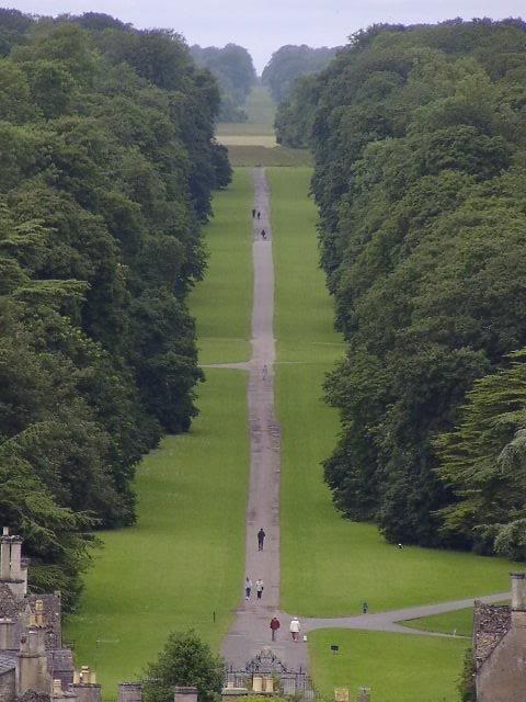 the walk in the park