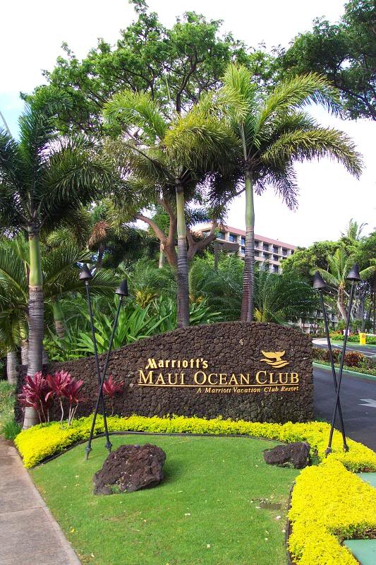 MOC DrivewayEntranc e