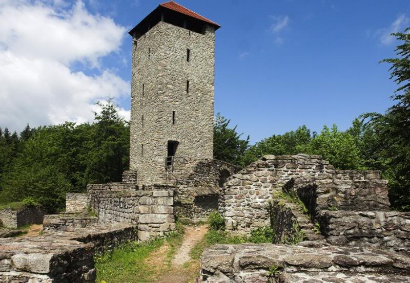 Altnussberg (REG) - Burg Altnussberg 18052007