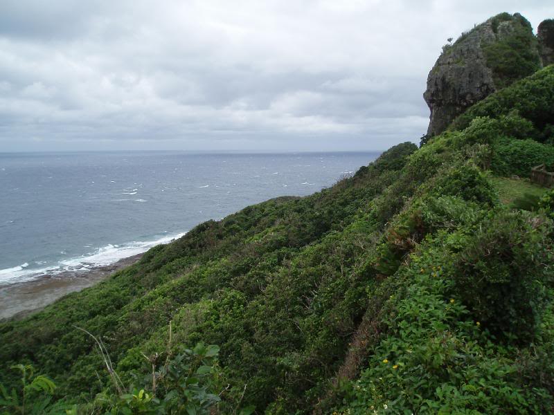 Views from the park...