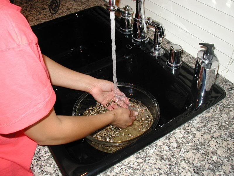 Wash the sprouting mix.