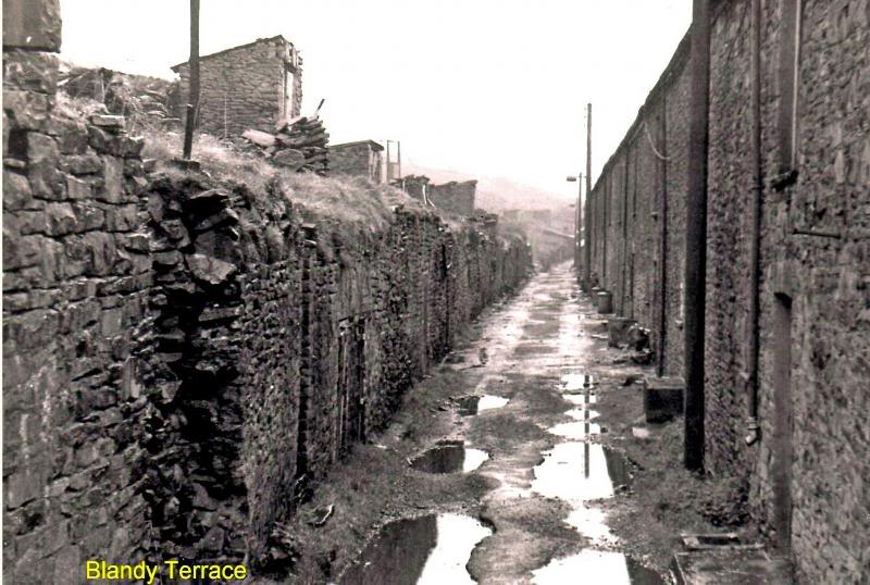 Back of Blandy Terrace