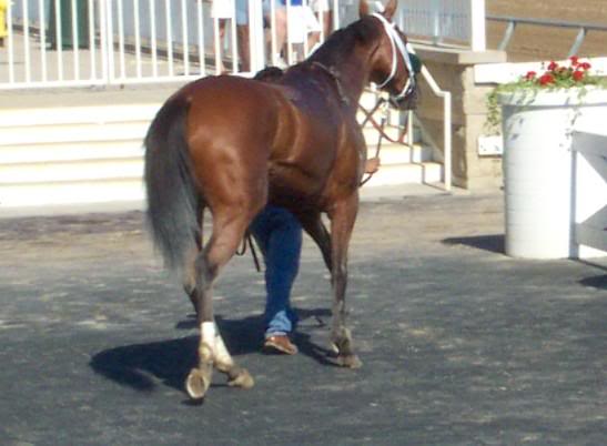 Exiting the winner's circle..