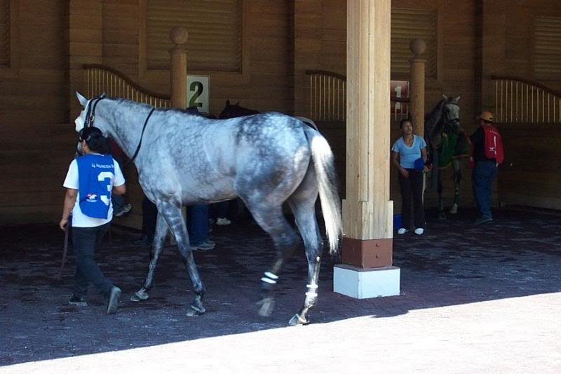 Here's another view of Ioya