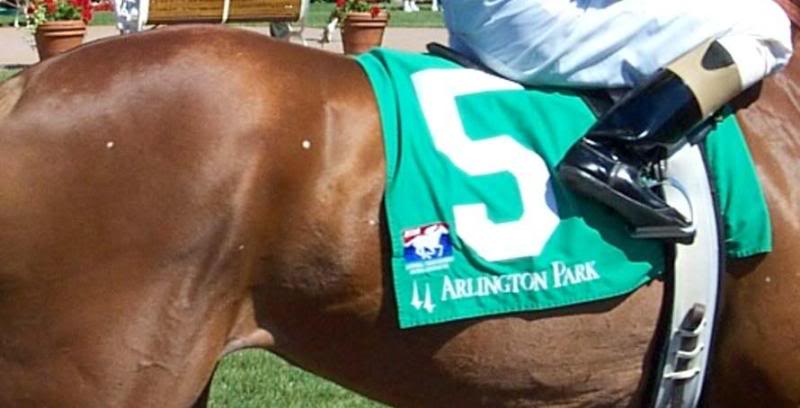 TB with rare birdcatcher spots