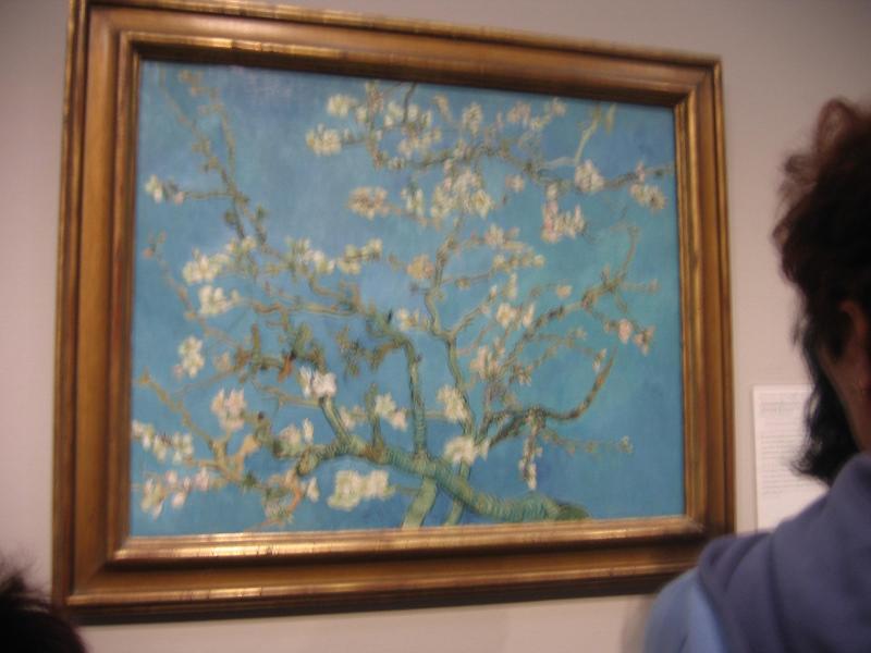 van gogh musuem, almond blossom