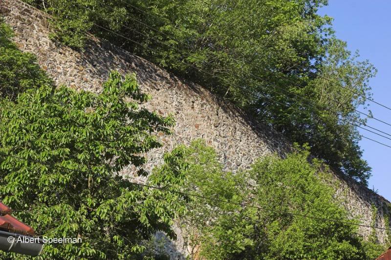 Schollnstein (DEG) - Burg Schollnstein 18052007