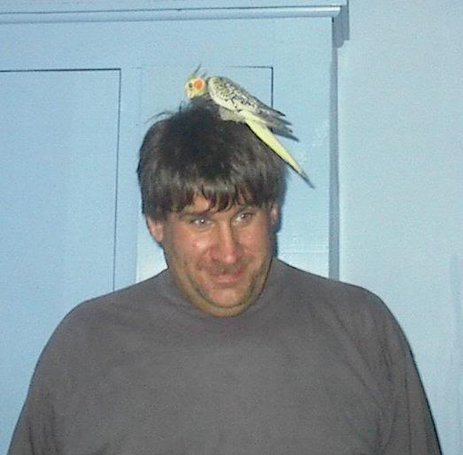 I wish my Cockatiel did this....