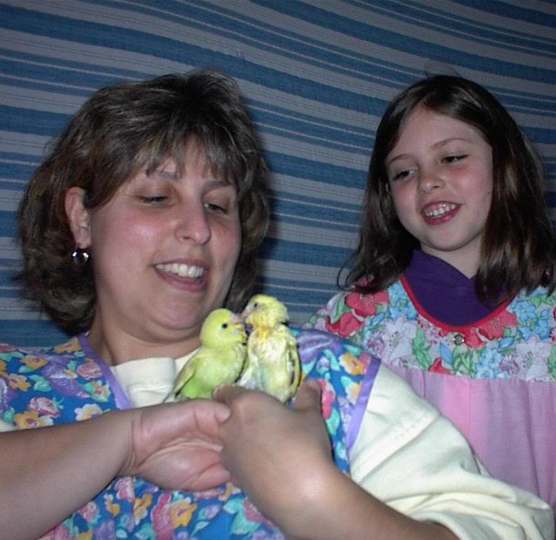 Playing with parakeets is so much fun