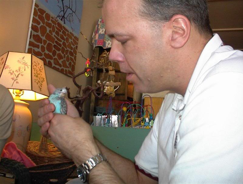 Real Men Love Parakeets