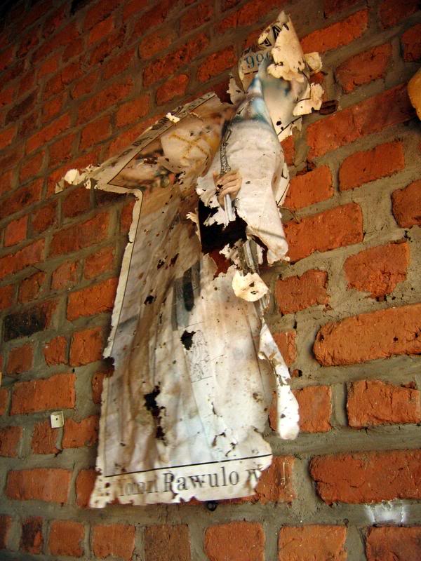 Flapping in the Wind