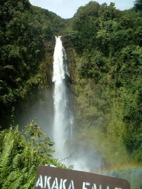 Akaka Falls - 300 ft high 10 mi from us