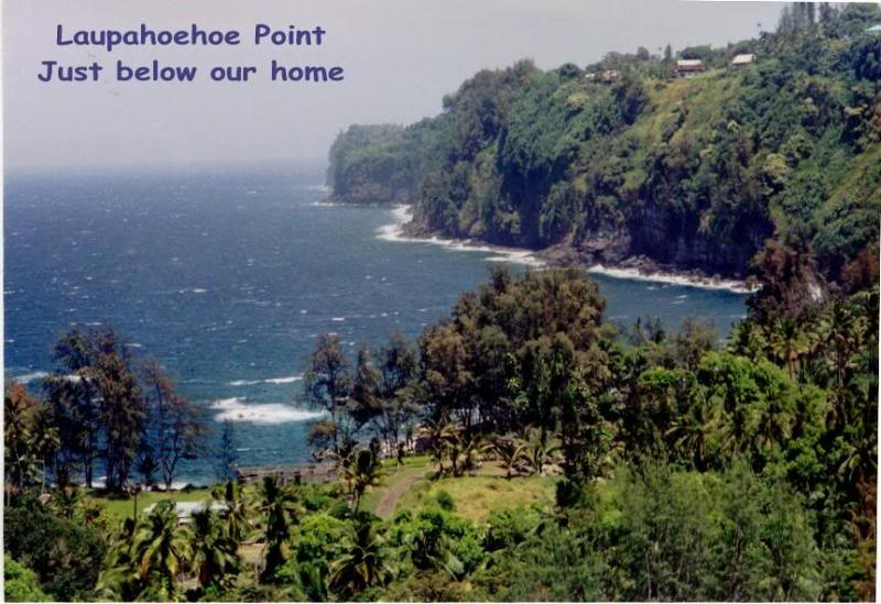 Laupahoehoe Point