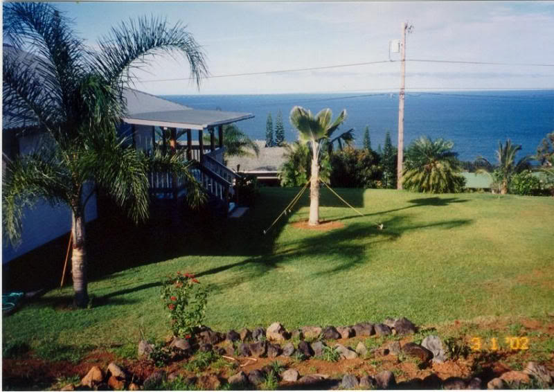 Our Lovely Ocean View