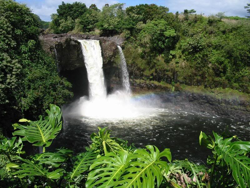 Rainbow Falls - Hilo