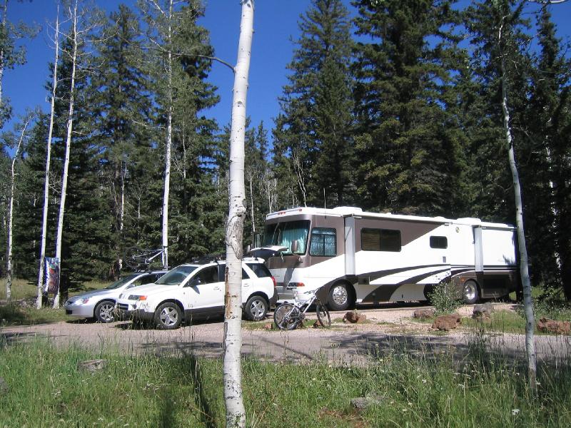 Day_1_Duck_Cree k_02