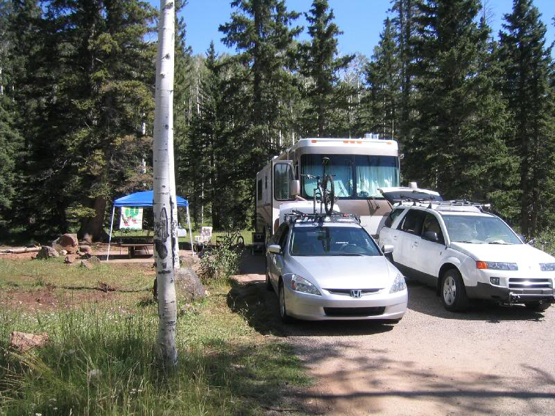 Day_1_Duck_Cree k_03