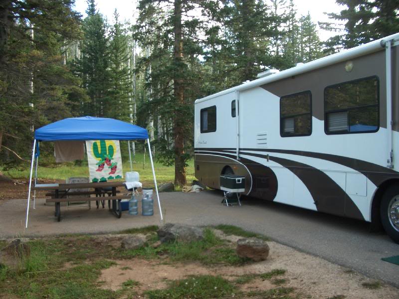 Day_1_Duck_Cree k_05