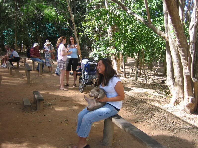 my first australian animal holding! (wombat!)