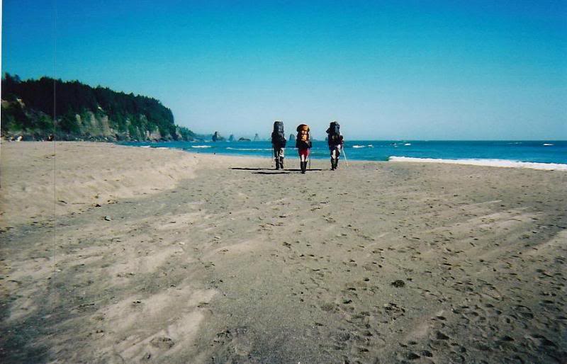 the olympic pennisula